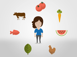 Optimizing Digestion